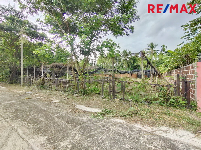 ขายที่ดินในหมู่บ้านออมไทย เนื้อที่ 417 ตารางวา ติดสำนักงานที่ดินสามพราน แถมบ้านเรือนไทย