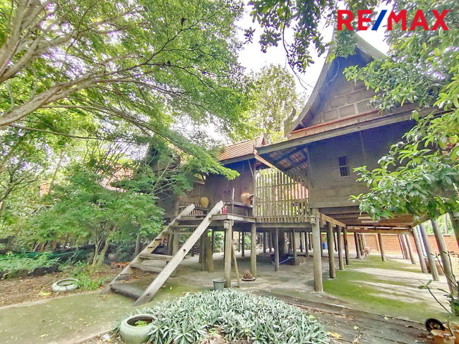 ขายที่ดินในหมู่บ้านออมไทย เนื้อที่ 417 ตารางวา ติดสำนักงานที่ดินสามพราน แถมบ้านเรือนไทย