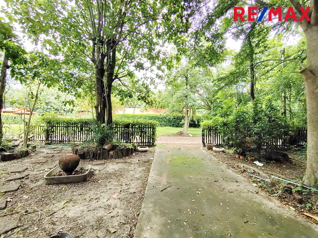 ขายที่ดินในหมู่บ้านออมไทย เนื้อที่ 417 ตารางวา ติดสำนักงานที่ดินสามพราน แถมบ้านเรือนไทย