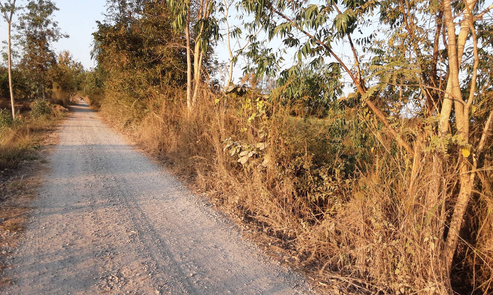 ขายที่ดิน 61-0-30 THB6,107,500 หนองสวรรค์, เมือง, หนองบัวลำภู
