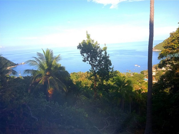 ขายที่ดินสวยเกาะพะงัน วิวทะเล บรรยากาศดี เอกสาร นส3ก ทำเลดี จ.สุราษฎร์ธานี 