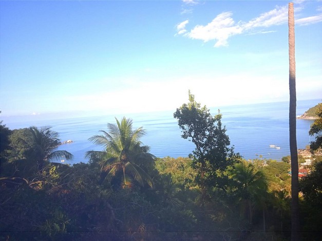 ขายที่ดินสวยเกาะพะงัน วิวทะเล บรรยากาศดี เอกสาร นส3ก ทำเลดี จ.สุราษฎร์ธานี 