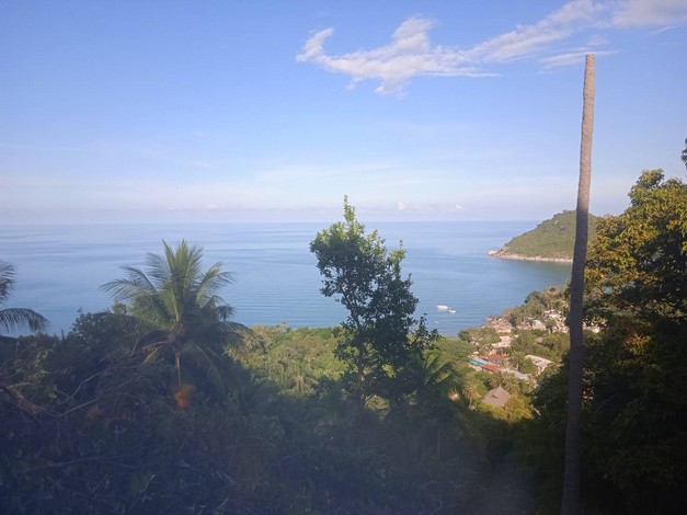 ขายที่ดินสวยเกาะพะงัน วิวทะเล บรรยากาศดี เอกสาร นส3ก ทำเลดี จ.สุราษฎร์ธานี 