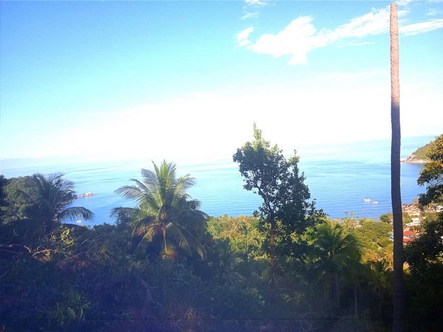 ขายที่ดินสวยเกาะพะงัน วิวทะเล บรรยากาศดี เอกสาร นส3ก ทำเลดี จ.สุราษฎร์ธานี 