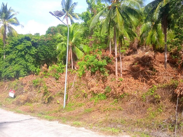 ขายที่ดินสวยเกาะพะงัน วิวทะเล บรรยากาศดี เอกสาร นส3ก ทำเลดี จ.สุราษฎร์ธานี 