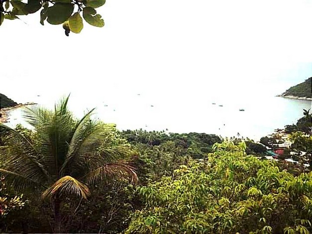 ขายที่ดินสวยเกาะพะงัน วิวทะเล บรรยากาศดี เอกสาร นส3ก ทำเลดี จ.สุราษฎร์ธานี 