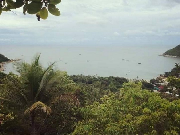 ขายที่ดินสวยเกาะพะงัน วิวทะเล บรรยากาศดี เอกสาร นส3ก ทำเลดี จ.สุราษฎร์ธานี 