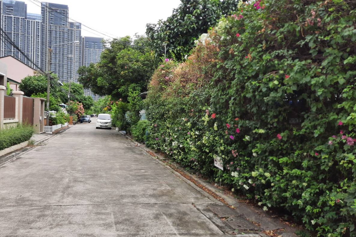 ขายที่ดิน ถนนสุขุมวิท101/1 วชิรธรรมสาทิต  191 ตร.ว เข้าจากถนนสุขุมวิทนิดเดียว ใก้ลรถไฟฟ้าสถานีปุณณวิถี ห้างทรูดิจิตอลพาร์ค 