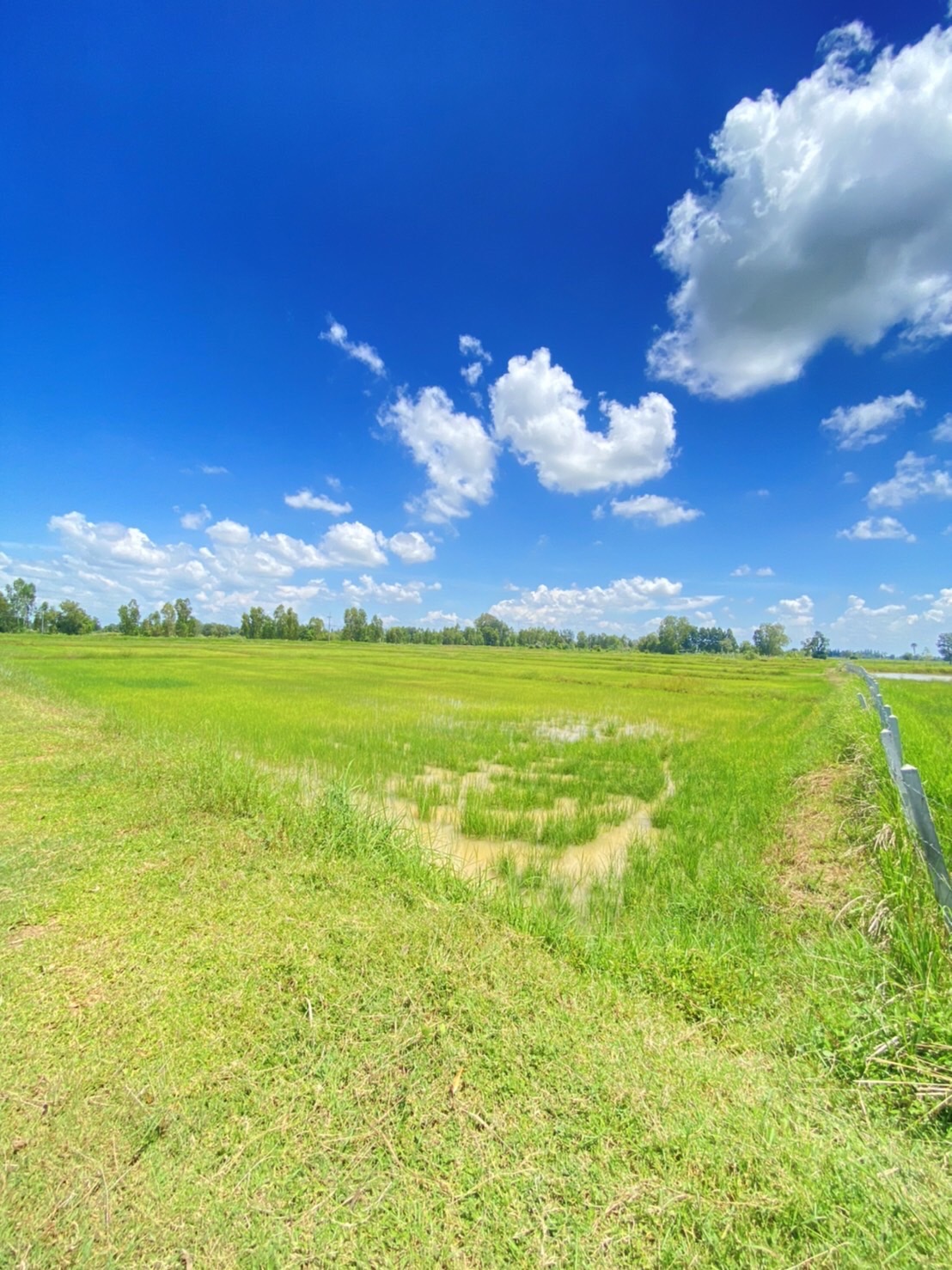 ขายที่ดินจังหวัดบุรรัมย์ ด้านหน้าติดทางหลวงชนบท บร.3021ด้านข้างที่ดินมีถนน หินคลุก