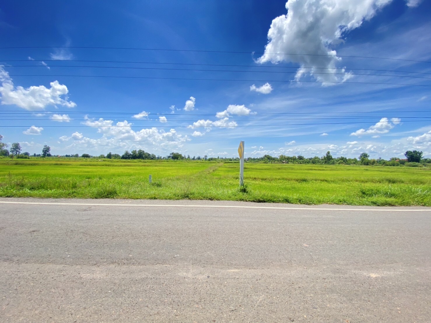 ขายที่ดินจังหวัดบุรรัมย์ ด้านหน้าติดทางหลวงชนบท บร.3021ด้านข้างที่ดินมีถนน หินคลุก