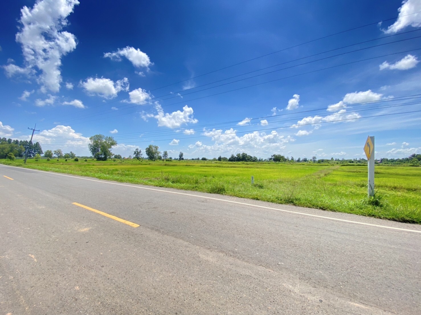 ขายที่ดินจังหวัดบุรรัมย์ ด้านหน้าติดทางหลวงชนบท บร.3021ด้านข้างที่ดินมีถนน หินคลุก