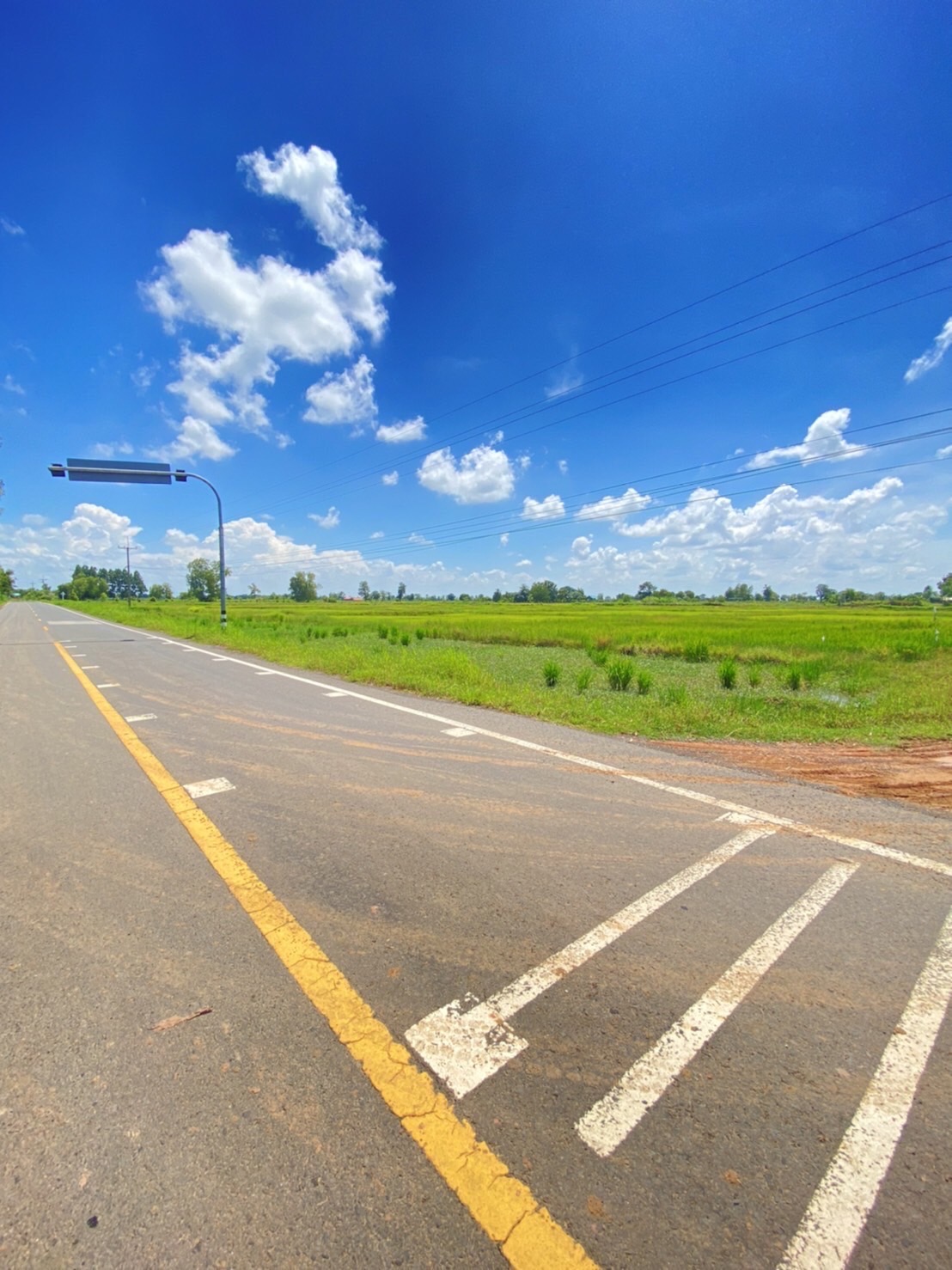 ขายที่ดินจังหวัดบุรรัมย์ ด้านหน้าติดทางหลวงชนบท บร.3021ด้านข้างที่ดินมีถนน หินคลุก