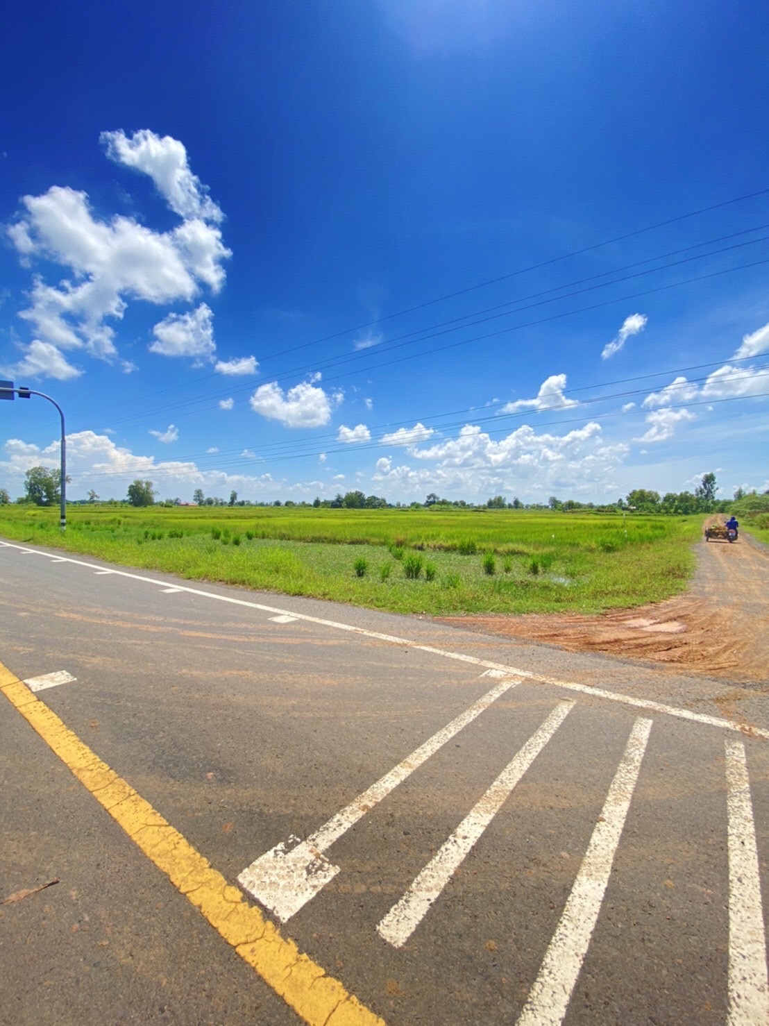 ขายที่ดินจังหวัดบุรรัมย์ ด้านหน้าติดทางหลวงชนบท บร.3021ด้านข้างที่ดินมีถนน หินคลุก