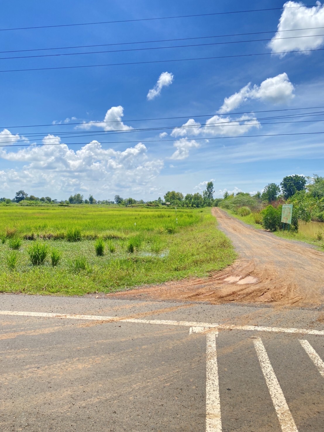 ขายที่ดินจังหวัดบุรรัมย์ ด้านหน้าติดทางหลวงชนบท บร.3021ด้านข้างที่ดินมีถนน หินคลุก