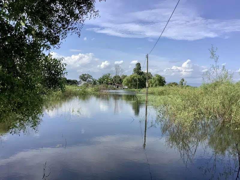ขายที่นา ติดคลองใหญ่  เหมาะสำหรับทำการเกษตร อำเภอเมืองปราจีนบุรี