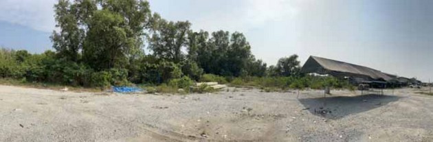 ขายที่ดิน ติดแม่น้ำบางปะกง ใกล้จุดพักรถด่านบางปะกง 2 ฉะเชิงเทรา