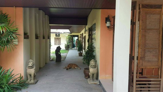 ขายที่ดินพร้อมสิ่งปลูกสร้าง เจ้าของขายเอง วิวภูเขา เหมาะทำกิจการต่อ อ.เมือง จ.กระบี่