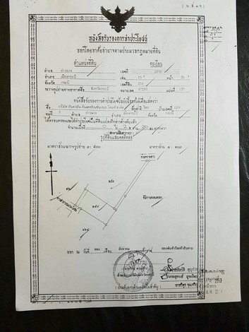 ขายที่ดินพร้อมสิ่งปลูกสร้าง เจ้าของขายเอง วิวภูเขา เหมาะทำกิจการต่อ อ.เมือง จ.กระบี่