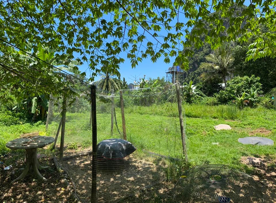 ขายที่ดิน ทำเลสวย อำเภอ อ่าวลึก กระบี่