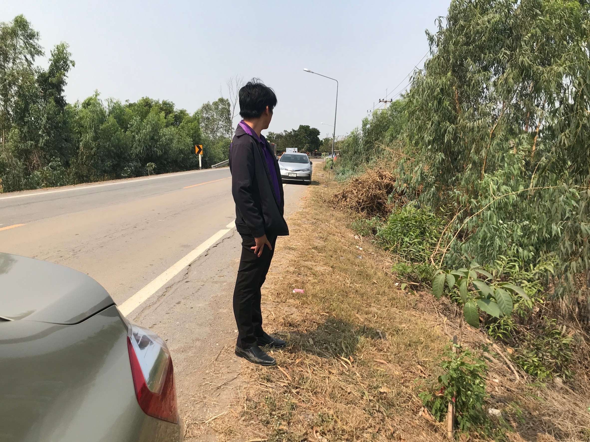 ขายที่ดิน บรรยาศดี อำเภอบางซ้าย จังหวัดอยุธยา