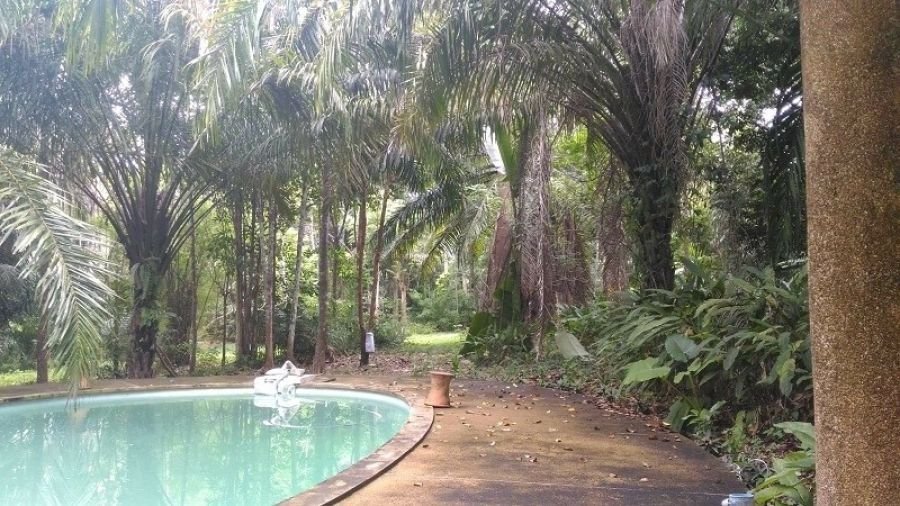 ขายรีสอร์ทอ่าวนางเพิร์ล โฉนดเลขที่29780  ทำเลดี บรรยากาศดี  อ.เมือง จ.กระบี่