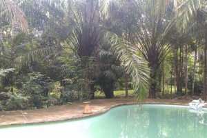 ขายรีสอร์ทอ่าวนางเพิร์ล โฉนดเลขที่29780  ทำเลดี บรรยากาศดี  อ.เมือง จ.กระบี่