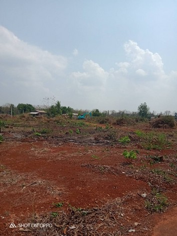 ขายที่ดินเปล่า  ยกแปลง  หรือแบ่งขาย ที่สวย ทำเลดี เหมาะทำการเกษตรได้หลายอย่าง อ.วังทอง จ.พิษณุโลก