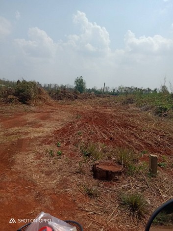 ขายที่ดินเปล่า  ยกแปลง  หรือแบ่งขาย ที่สวย ทำเลดี เหมาะทำการเกษตรได้หลายอย่าง อ.วังทอง จ.พิษณุโลก