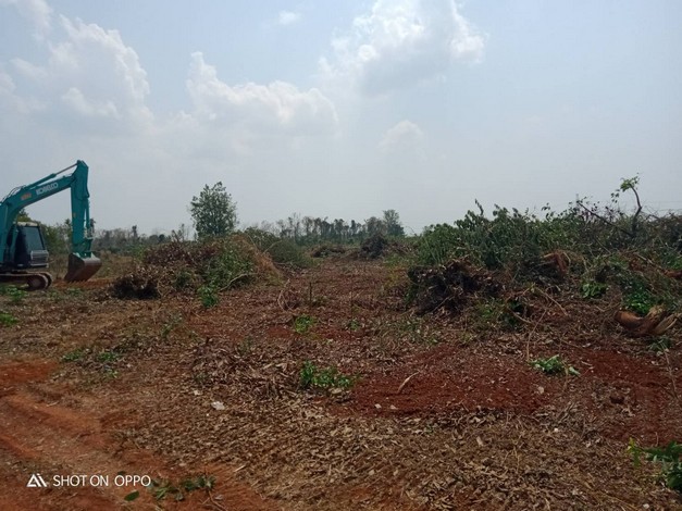 ขายที่ดินเปล่า  ยกแปลง  หรือแบ่งขาย ที่สวย ทำเลดี เหมาะทำการเกษตรได้หลายอย่าง อ.วังทอง จ.พิษณุโลก