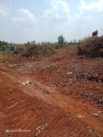 ขายที่ดินเปล่า  ยกแปลง  หรือแบ่งขาย ที่สวย ทำเลดี เหมาะทำการเกษตรได้หลายอย่าง อ.วังทอง จ.พิษณุโลก