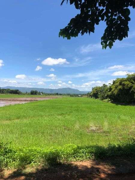ขายที่ดิน ที่นา 8 ไร่ 1งาน 41ตารางวา เหมาะสำหรับใช้ประโยชน์เอนกประสงค์ อำเภอเมืองเพชรบูรณ์ เพชรบูรณ์