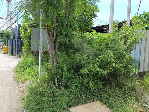 ขายที่ดินติดถนนบางนาตราด กม 37 ขาเข้า กทม เนื้อที่ 336 ตรว หน้ากว้างติดถนนบางนา 40 เมตร  รูปแปลง สี่เหลี่ยมคางหมู