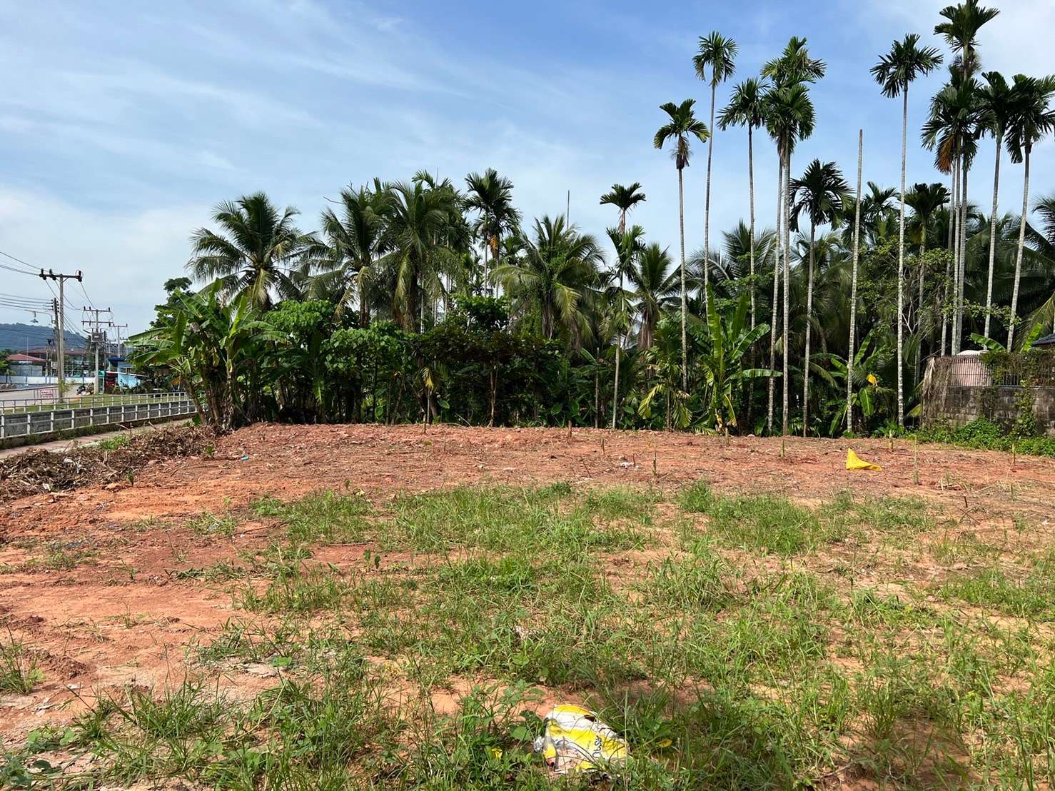 ขายที่ดินถมแล้ว ทำเลดี ถนนดอนนก ตำบลมะขามเตี้ย อำเภอเมืองสุราษฎร์ธานี (เจ้าของขายเอง)