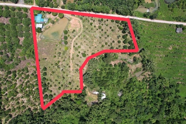 ขายที่ดินสวนทุเรียนโซนโฮมสเตย์  ทุ่งเพล  ทำเลดี จ.จันทบุรี