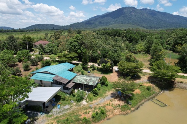 ขายที่ดินสวนทุเรียนโซนโฮมสเตย์  ทุ่งเพล  ทำเลดี จ.จันทบุรี