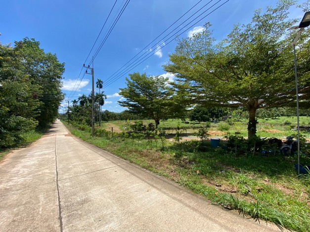 ขายที่ดินสวนทุเรียนโซนโฮมสเตย์  ทุ่งเพล  ทำเลดี จ.จันทบุรี