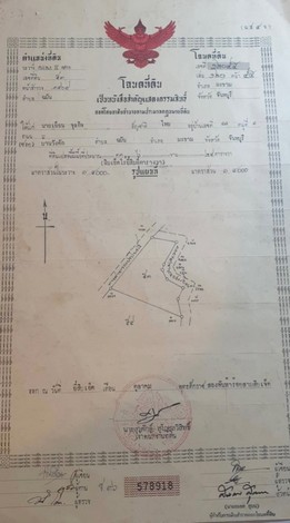 ขายที่ดินสวนทุเรียนโซนโฮมสเตย์  ทุ่งเพล  ทำเลดี จ.จันทบุรี
