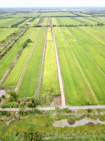 ถูกมาก ที่ดินแบ่งขาย 1 ไร่ บ้านสวนคูณรัก หลักแสน พร้อมให้ทุกอย่าง แบบจัดเต็ม