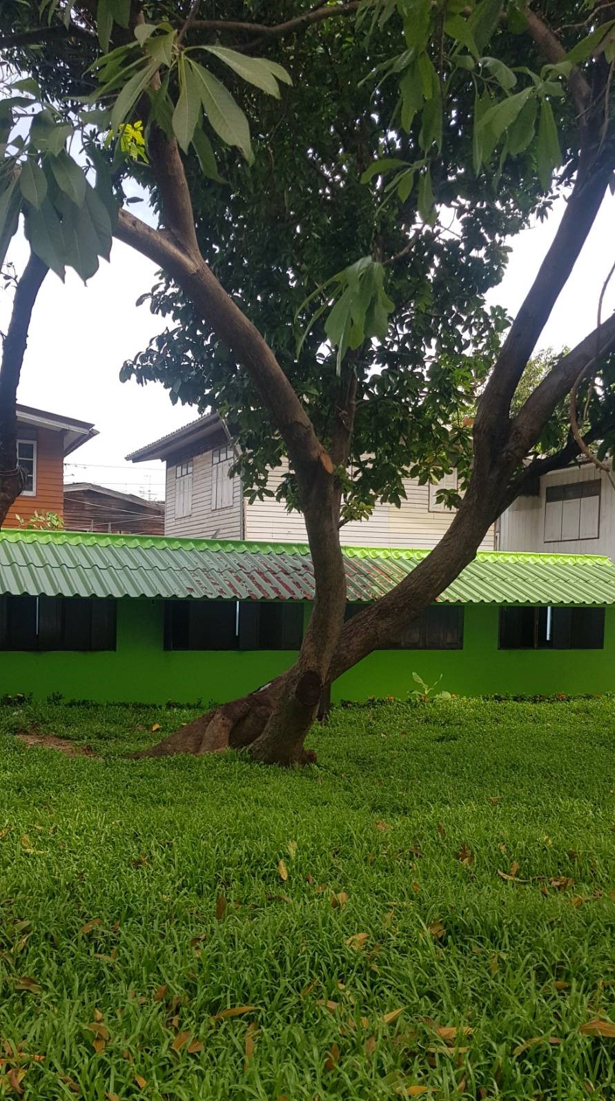 ให้เช่าบ้านเดี่ยวหลังใหญ่ ซ.อิสรภาพ 5  เดินทางสะดวก ใกล้วงเวียนใหญ่ icon siam