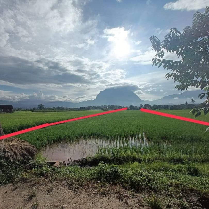 ขายที่นา เนื้อที่ 6 ไร่ แปลงยาว รูปทรงตัว L ทำเลดี วิวดอยหลวง ใกล์ลำเหมืองใหญ่ อ.เชียงดาว จ.เชียงใหม่