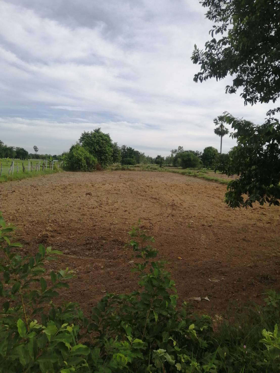 ขายที่ดิน 9-3-85 THB2,200,000 นาพู่, เพ็ญ, อุดรธานี