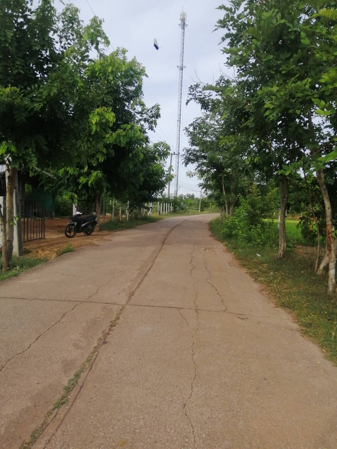 ขายที่ดิน 9-3-85 THB2,200,000 นาพู่, เพ็ญ, อุดรธานี