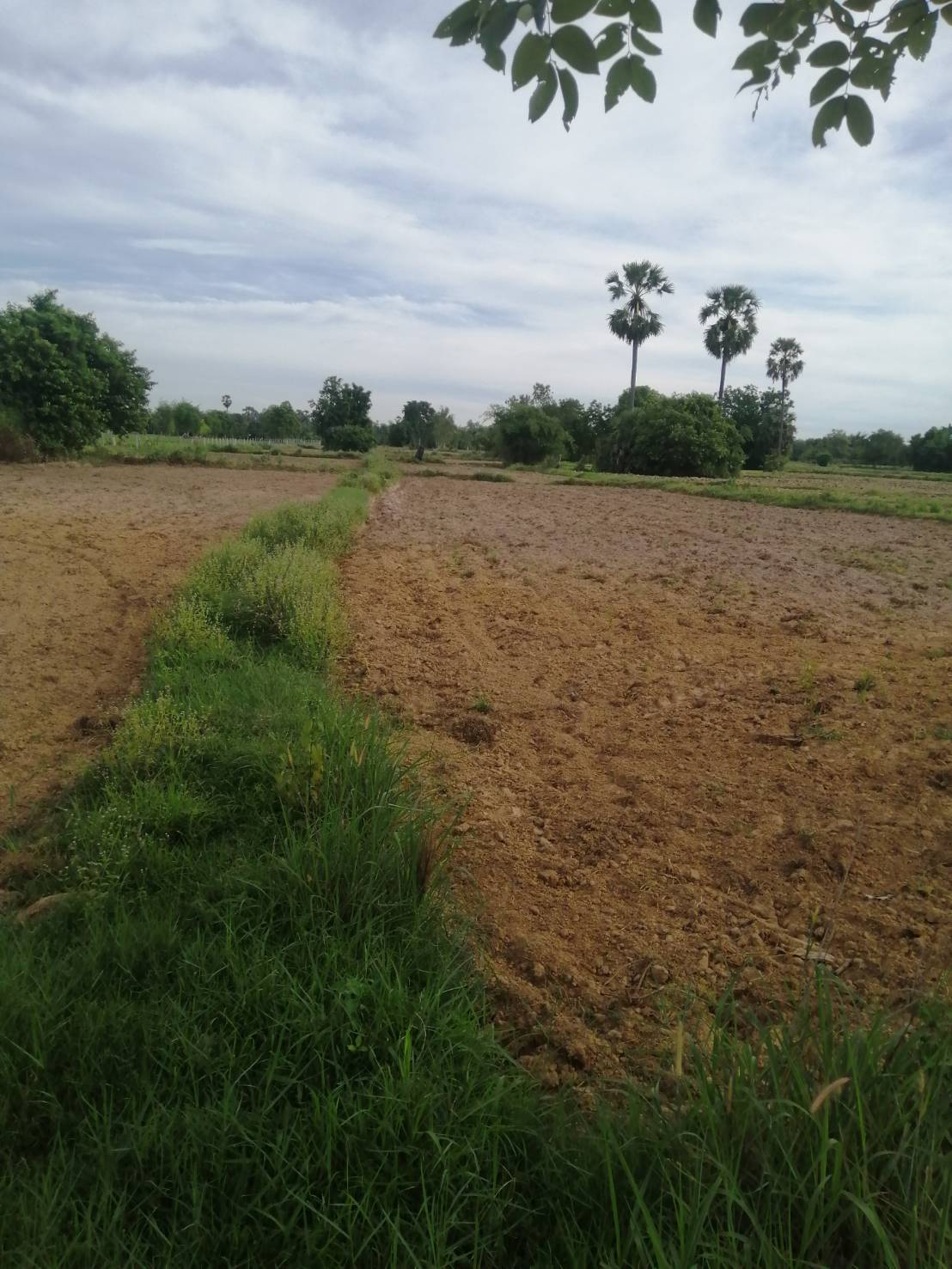 ขายที่ดิน 9-3-85 THB2,200,000 นาพู่, เพ็ญ, อุดรธานี