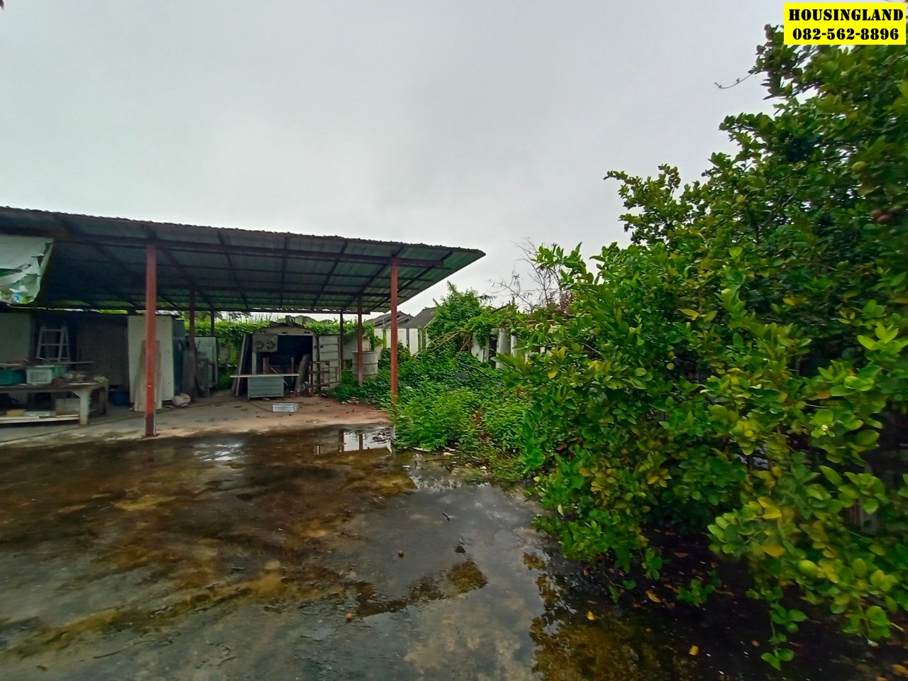 ขายที่ดินพร้อมโกดัง ในหมู่บ้านฉัตรหลวง ซอยราชอุทิศ -54  ถนนสุวินทวงศ์   แขวงแสนแสบ เขตมีนบุรี  กรุงเทพมหานคร  