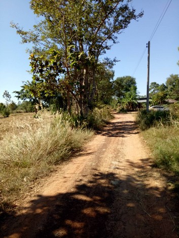 ขายที่ดิน ติดถนน ทำเลดี เหมาะทำธุรกิจได้หลายอย่าง อ.เดชอุดม จ.อุบลราชธานี 