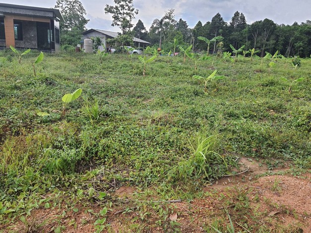 ขายถูก ที่ดินเปล่า แปลงสวย 17 ไร่ 2 งาน 17 ตารางวา  พร้อมบ้านพักอาศัย 1 หลัง     