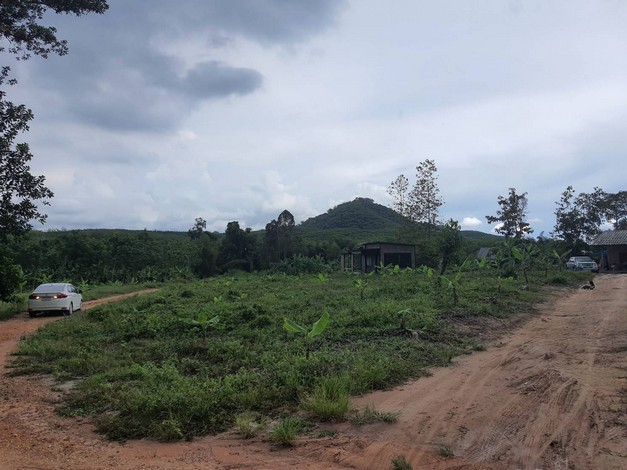 ขายถูก ที่ดินเปล่า แปลงสวย 17 ไร่ 2 งาน 17 ตารางวา  พร้อมบ้านพักอาศัย 1 หลัง     