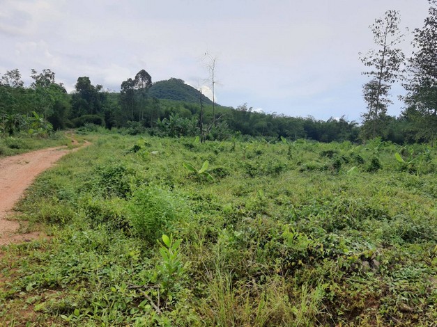 ขายถูก ที่ดินเปล่า แปลงสวย 17 ไร่ 2 งาน 17 ตารางวา  พร้อมบ้านพักอาศัย 1 หลัง     