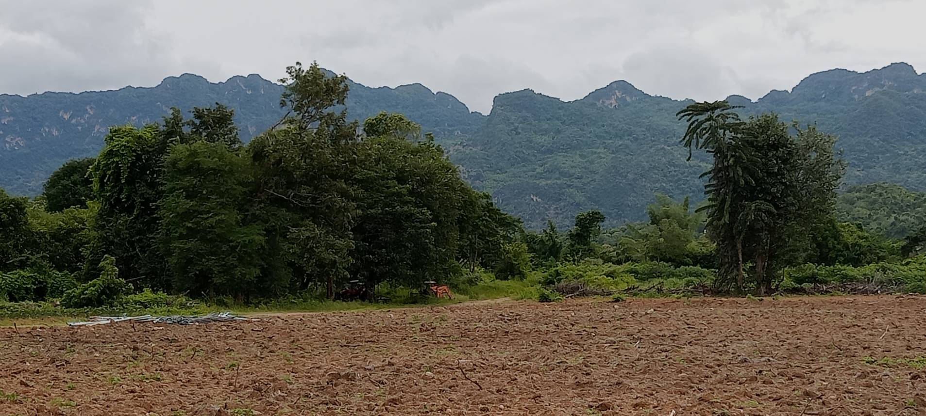 ขายที่สวยดินติดแม่น้ำ เหมาะสำหรับทำรีสอร์ทติดแม่น้ำ อำเภอไทรโยค   กาญจนบุรี
