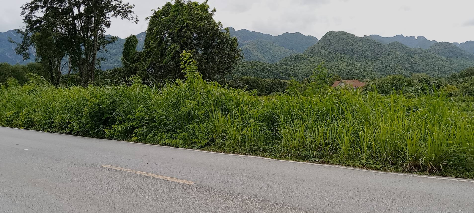 ขายที่สวยดินติดแม่น้ำ เหมาะสำหรับทำรีสอร์ทติดแม่น้ำ อำเภอไทรโยค   กาญจนบุรี